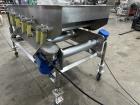 Food Processing Systems Ss Vibratory Conveyor